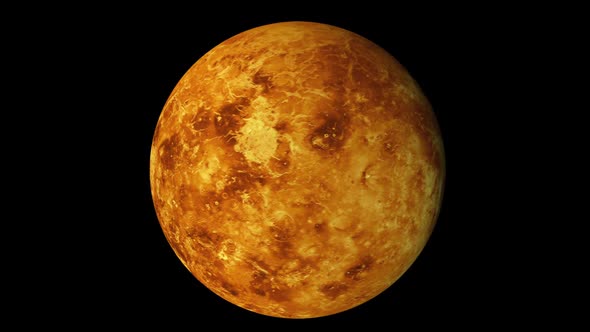 Venus