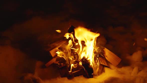 Birch Wood Fire Burns at Night