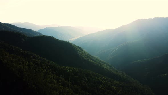 Hilly Green Valley in a National Park