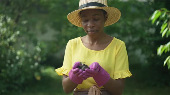 Portrait of Happy African American Woman Standing with Plant Sprout in Garden Looking at Camera