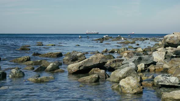 Calm Sea on the Rocks of Seagulls and Ships