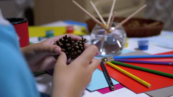 Talented Boy Holds Pine Cones in Hands and Colored Pencils