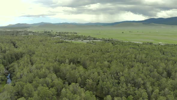 Trees, Forest and Vast Meadow in The Big River in Wide Valley of Asia Geography