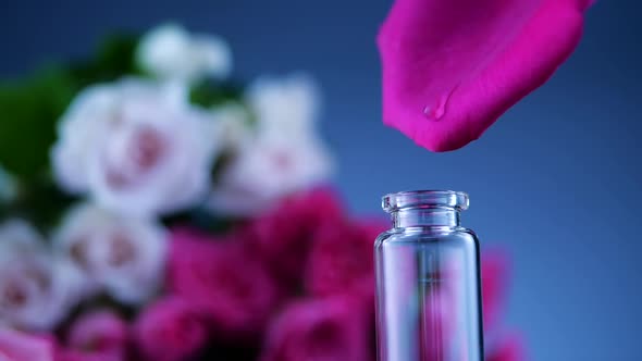 Process of Rose Perfume Preparation