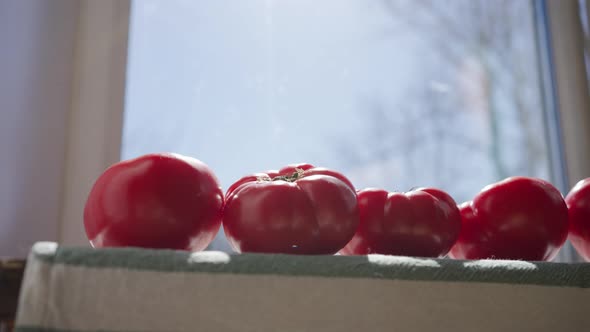 Red Tomatoes on Table Covered with Tablecloth Against Window