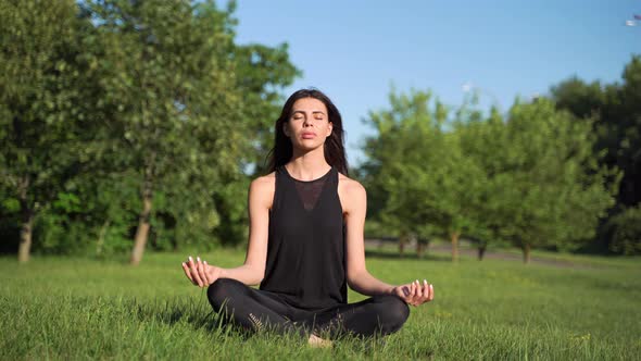 Pretty Woman Doing Yoga Exercises in the Park