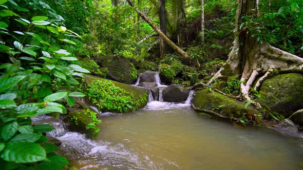 Waterfalls beautiful nature video in rain forest shot on Gimbal smooth movement beautiful.