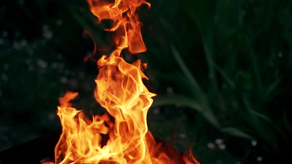 A burning bonfire on vacation during a hike in the forest. 