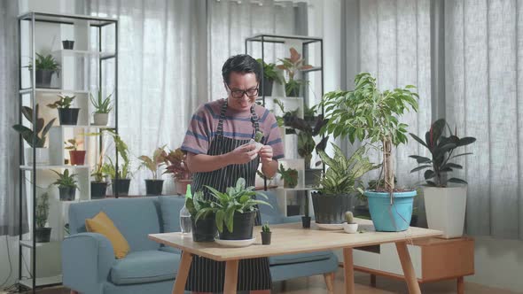 Smiling Asian Man Looking At Cactus Plant In Hand And Shaking His Head