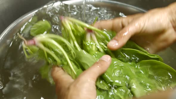 Man's Hands Washing Spinach.