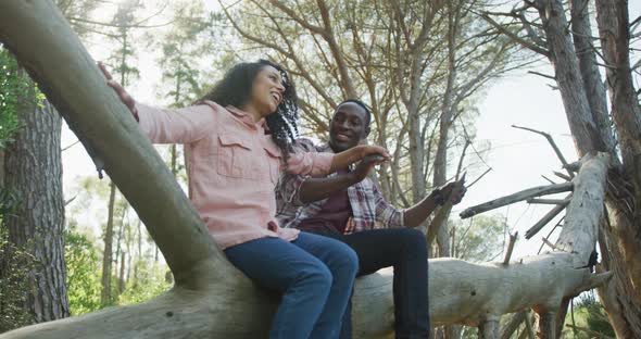 Smiling diverse couple holding hands and sitting on tree in countryside