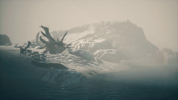 Rocky Cliff with Sand Beach in Deep Fog