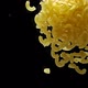 Elbow Macaroni in Water - VideoHive Item for Sale