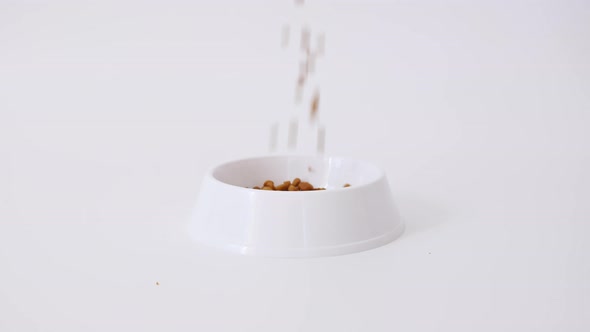 Pets Feed is Poured Into Large White Bowl Isolated on White Background