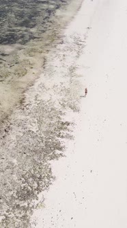 Tanzania  Vertical Video of Low Tide in the Ocean Near the Coast of Zanzibar Slow Motion