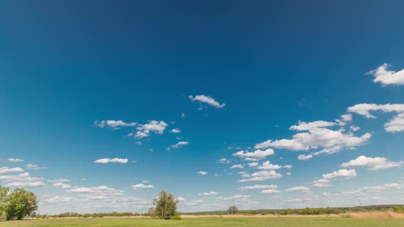 Green Field and Blue Sky with White Cloud Timelapse