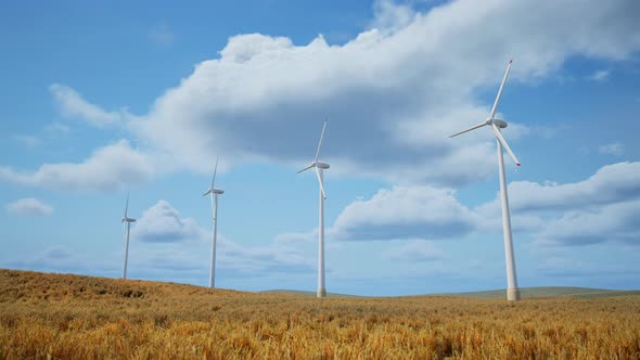 Wind Turbines In The Field