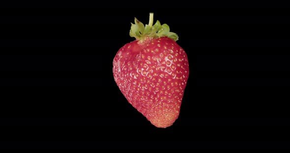 Red Strawberry Rotates Alpha Channel
