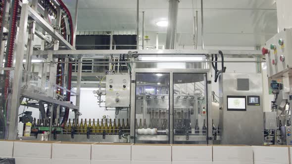 Red Wine bottles filling process in a wine bottling factory.