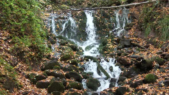 Stream in Small Waterfall at Autumn