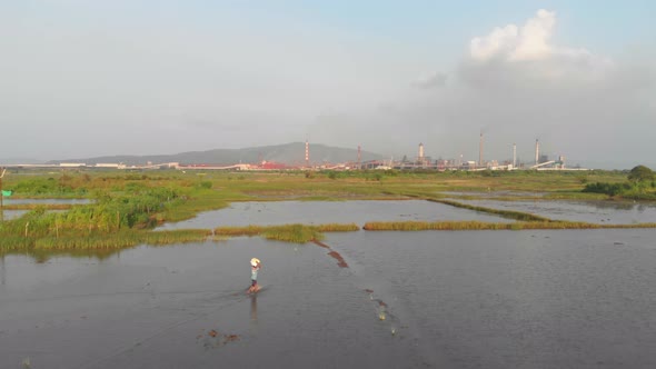 Indian farmer walks through waterlogged rice paddy farming fields Large factory chimneys background