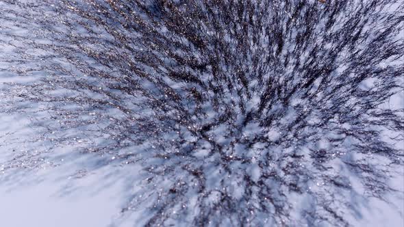 Metal shavings moving around from magnet alt