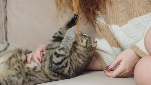 Cat Plays with Girl's Hair