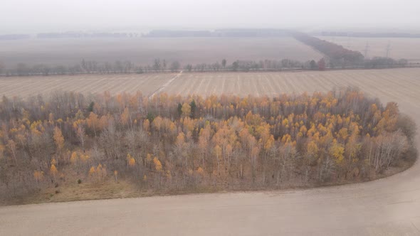 Empty Plowed Field in Autumn Aerial View