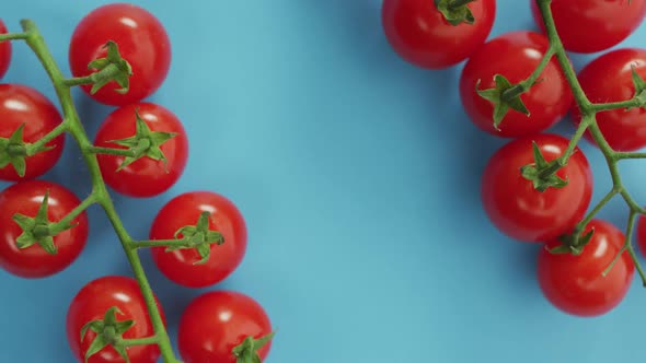 Video of fresh cherry tomatoes with copy space on blue background