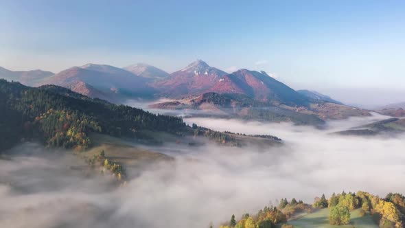 Foggy Clouds in Autumn Forest Nature