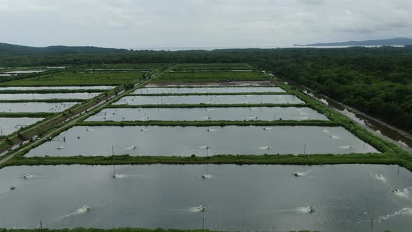 Prawn Fish Farm Aerial