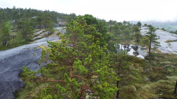 Authentic northern landscape in Norway