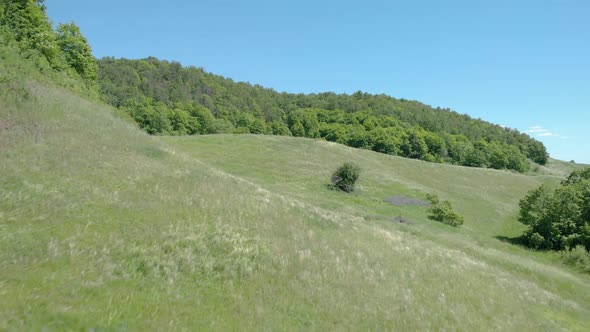 Fly along the forest to the big water