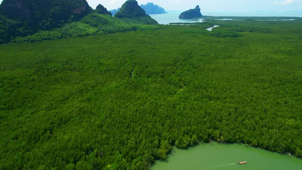 4K : Drone Flying over the mangrove forest at Phang Nga Bay