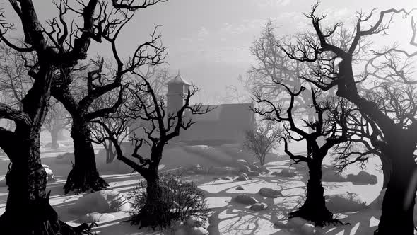 Ancient church in the old park alt