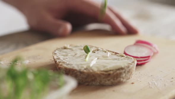 Preparing healthy snack on sunny day. wholegrain bread toast with Philadelphia cheese on board