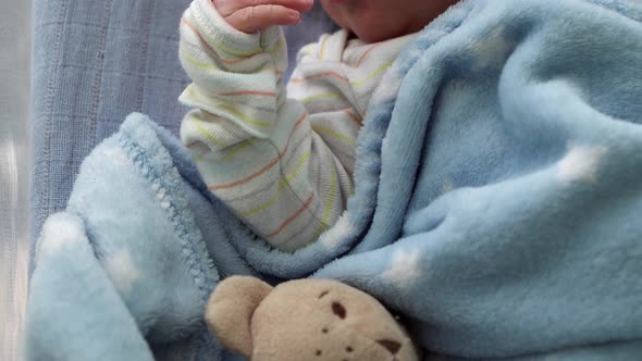 Closeup of Newborn Baby Face Portrait Early Days Sleeping With Tady Bear On Blue Background