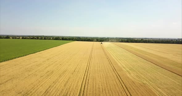 aerial shoot of combine harvesting wheat in ukraine