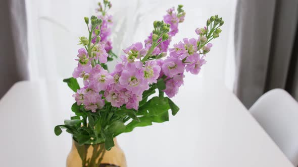 Delphinium Flowers in Glass Vase on Table at Home