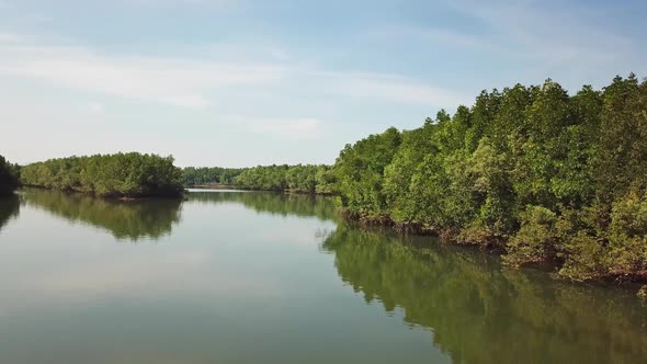 Flying Over River in Mangrove Forest in Thailand