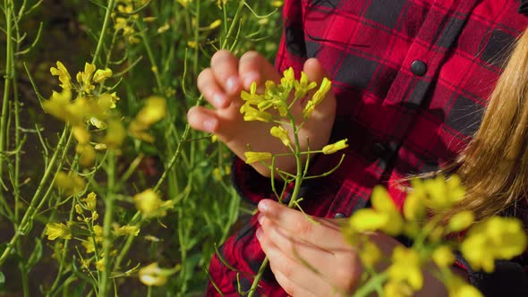 Kid Hands Naturalist Scientist Explores Plant Life and Insect Life