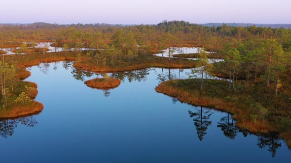 Peaceful low islands at swamp in evening, tracking drone hot