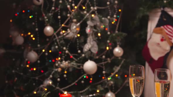 Panorama From Christmas Tree to the Festive Table with Delicious Baked Chicken