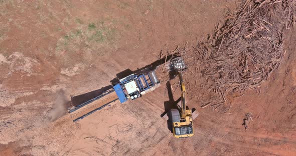 Construction Site Area in Crane Loading Roots Wood to Chipper Shredder Machine