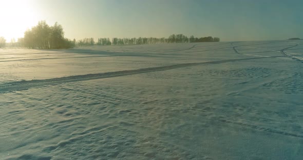 Aerial Drone View of Cold Winter Landscape with Arctic Field, Trees Covered with Frost Snow and