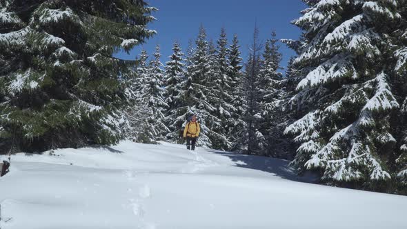 A Man with a Backpack Walks in the Winter Forest