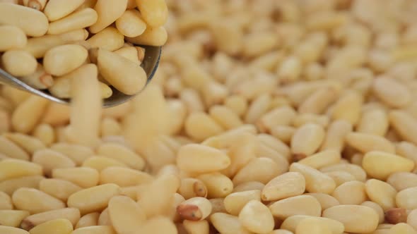 Pine nuts. Whole peeled pine nuts sprinkle and rotate, close up