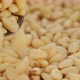 Pine nuts. Whole peeled pine nuts sprinkle and rotate, close up - VideoHive Item for Sale
