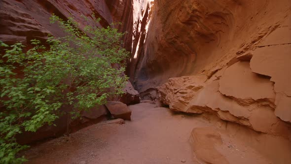 Walking through narrow desert slot canyon in Utah