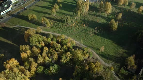 Flight over the autumn park. Trees with yellow autumn leaves are visible. Aerial photography.